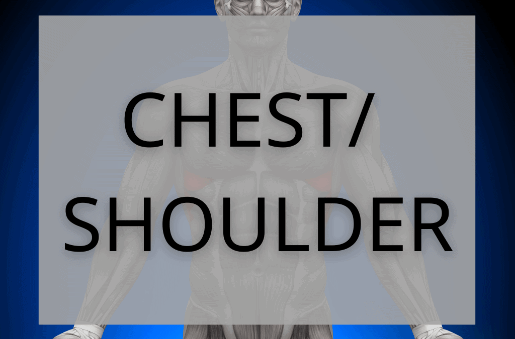 Chest/Shoulders