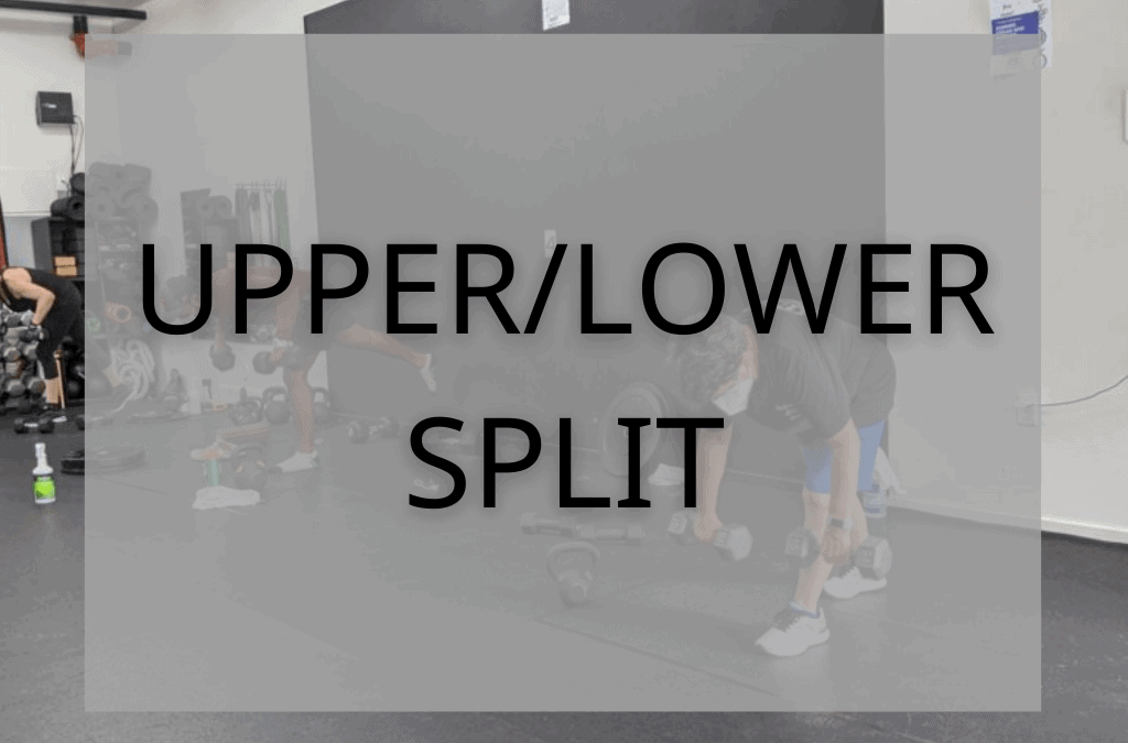 Program: Upper/Lower Split