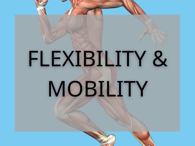 Flexibility/Mobility